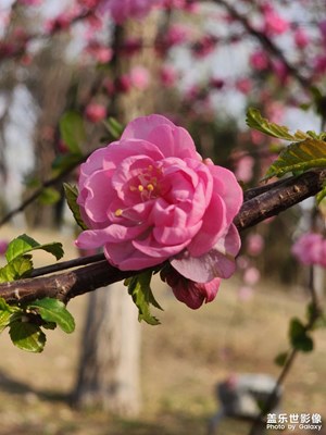 【慢想时光】+悠闲周末