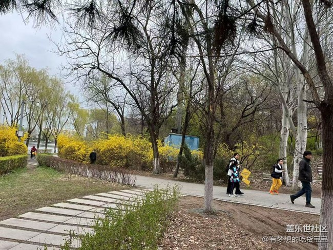青年公园游览及拍摄活动回顾贴