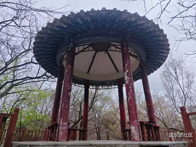 沈阳青年公园摄影活动回顾