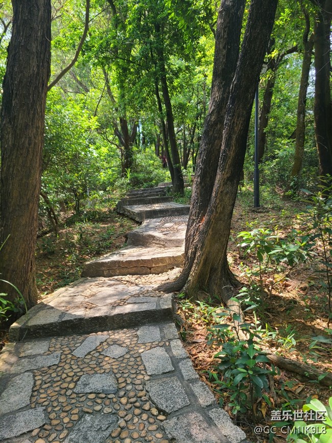 【活动回顾】城市绿肺