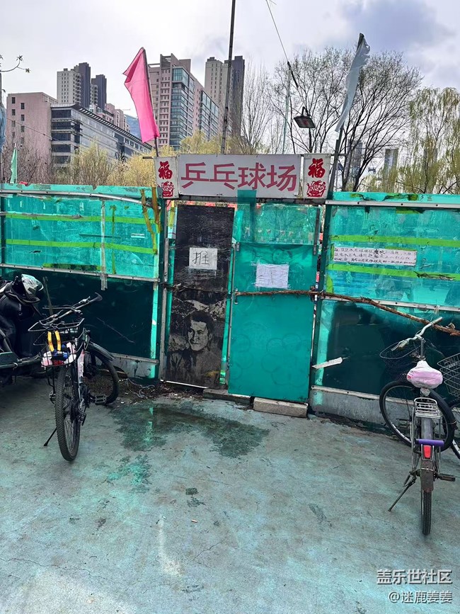 【回顾贴】青年公园游园摄影记录春日美好