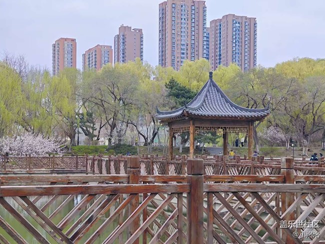 沈阳青年公园摄影活动回顾