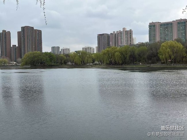 青年公园游览及拍摄活动回顾贴