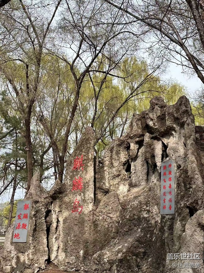 【回顾贴】青年公园游园摄影记录春日美好
