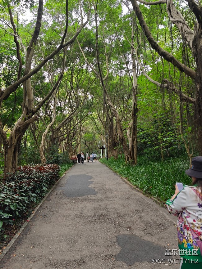 【活动回顾】跟着感觉走