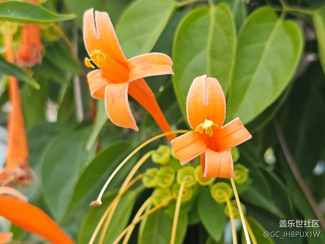 【花花世界】春日赏花
