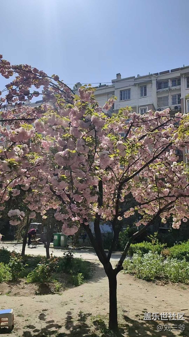 【城市苏醒】城中寻春，邂逅美好