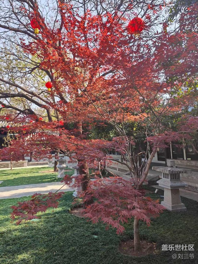 【城市苏醒】城中寻春，邂逅美好