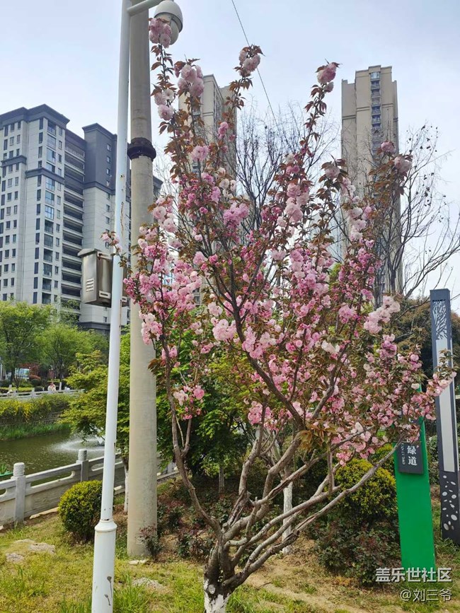 【城市苏醒】城中寻春，邂逅美好