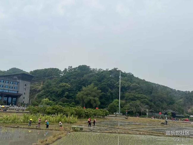 【春天的故事】乡野春日，邂逅美好