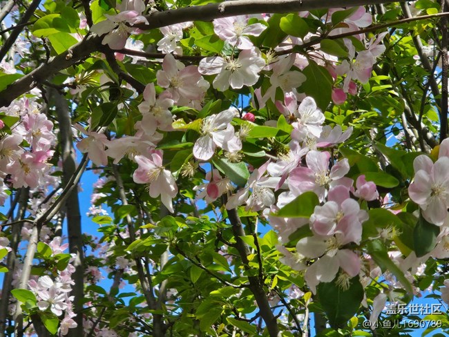 【拈花拾趣】虚实之间