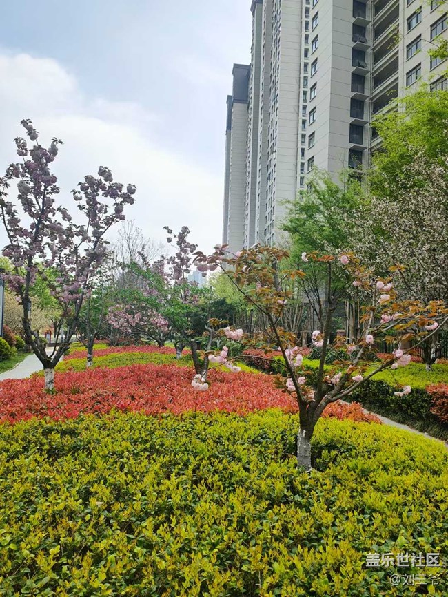 【城市苏醒】城中寻春，邂逅美好