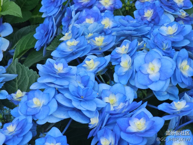 【花花世界】春日赏花