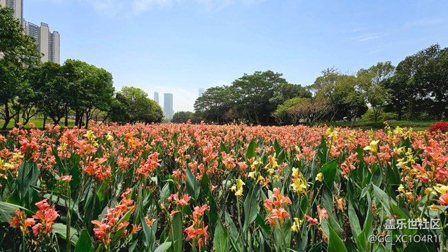 【早春物语】早春公园