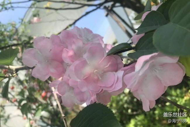 【春日盛景】赏春