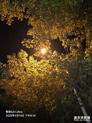夜景