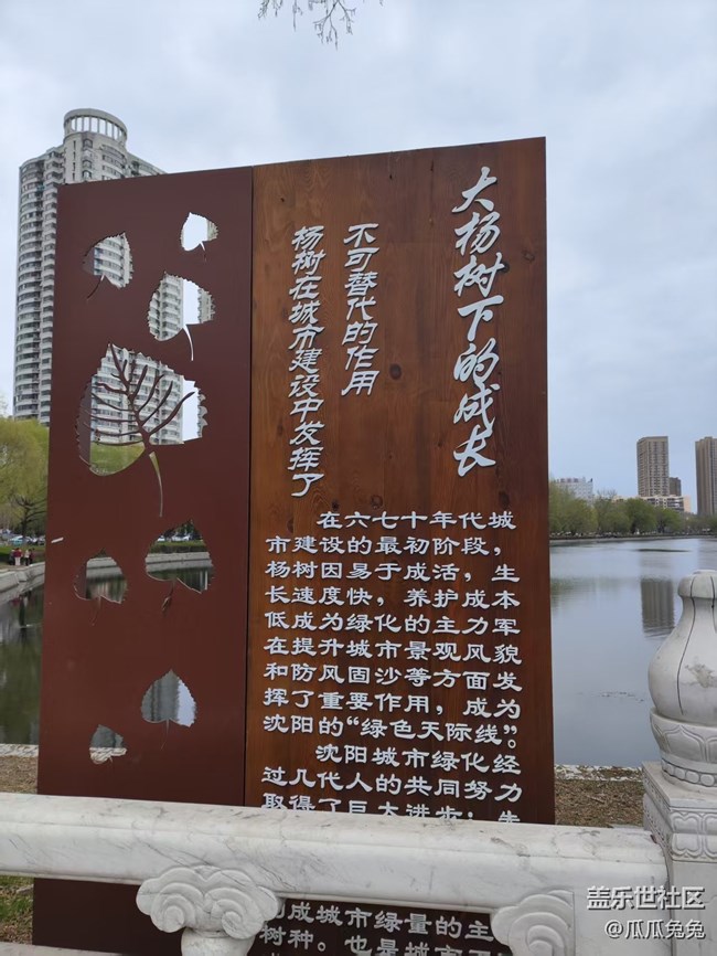 青年公园摄影星部落回顾贴