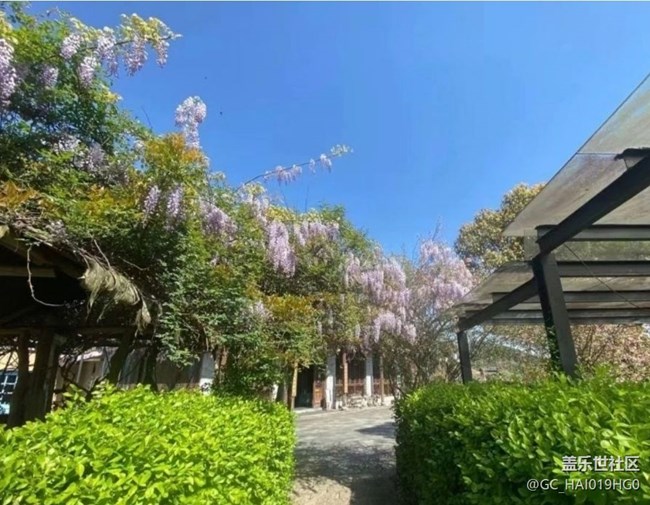 【春日盛景】踏春