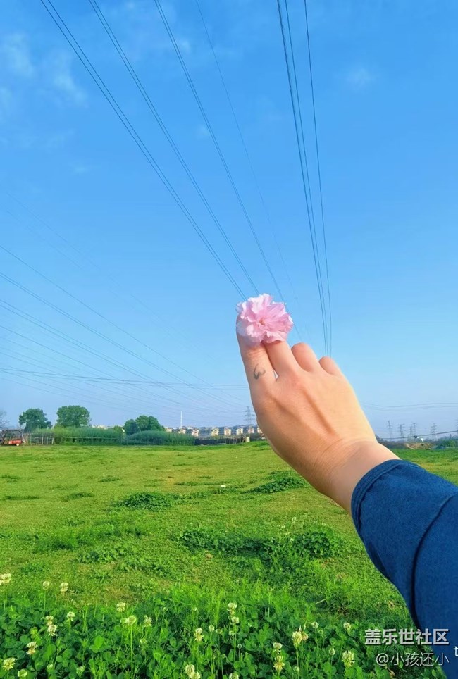【Galaxy影像】#踏青+樱花