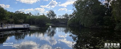 Gold Coast 黄金海岸地区植物园

