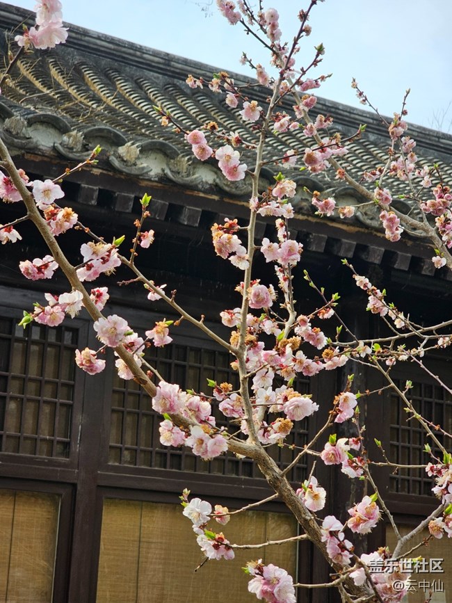 【拈花拾趣】重叠