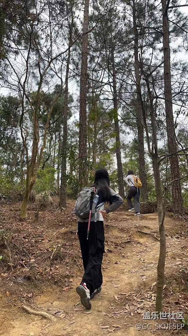 【日常的变迁】山林徒步，邂逅自然之美