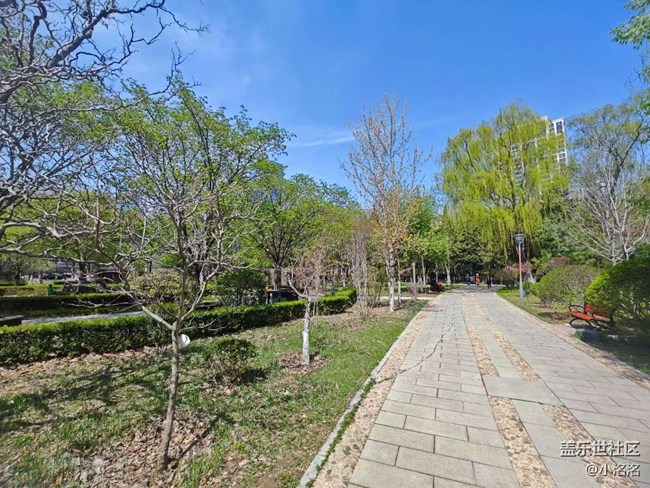 游玩沈阳市园林植物标本园，开启一场与花草的对话