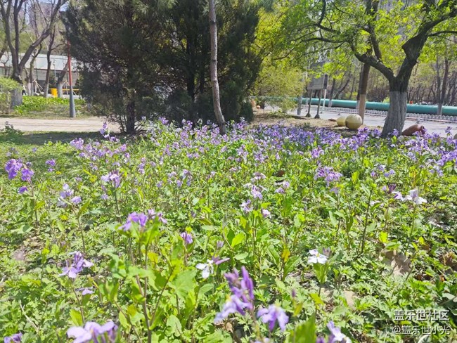 沈阳市园林植物标本园行行摄摄活动回顾