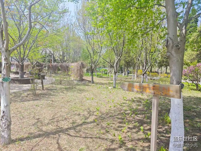 沈阳市园林植物标本园行行摄摄活动回顾