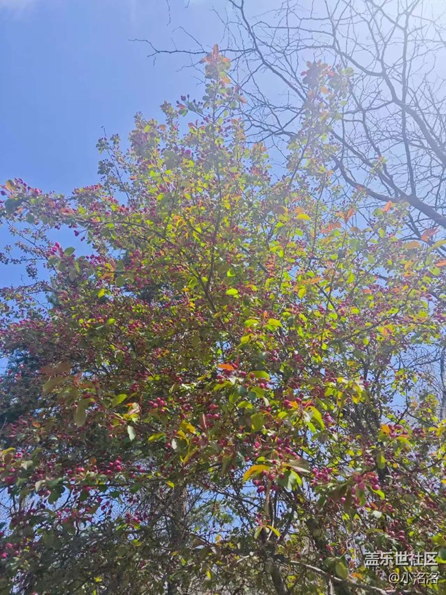 游玩沈阳市园林植物标本园，开启一场与花草的对话