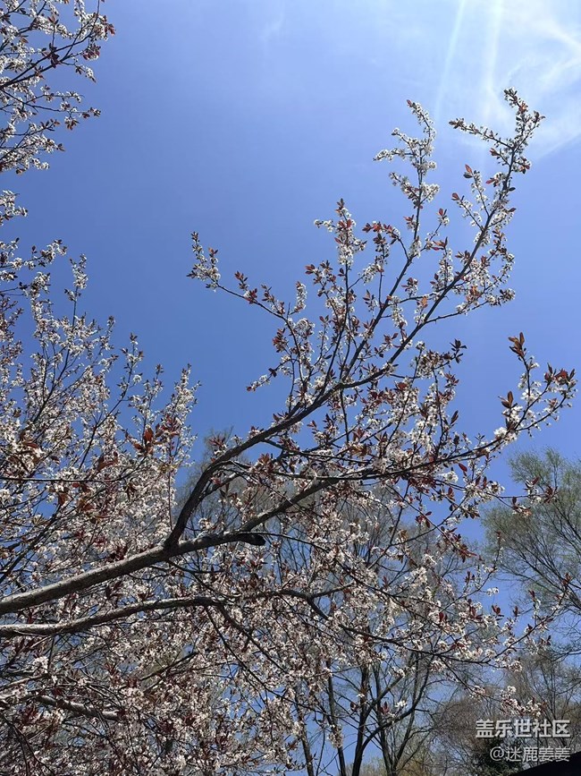 【春风得意时】踏青风景美如画
