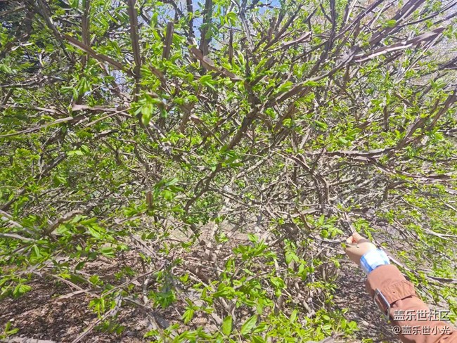 沈阳市园林植物标本园行行摄摄活动回顾