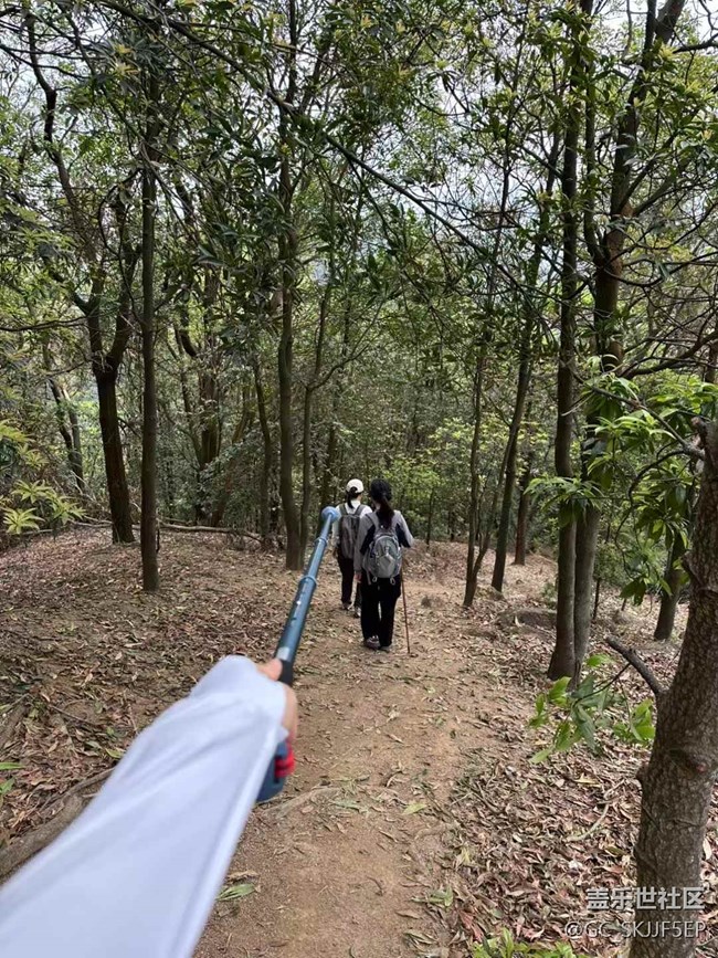 【日常的变迁】山林徒步，邂逅自然之美