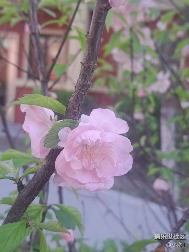 【春风得意时】一年之计在于春