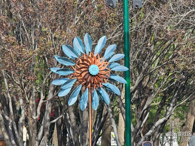 【拈花拾趣】春晓