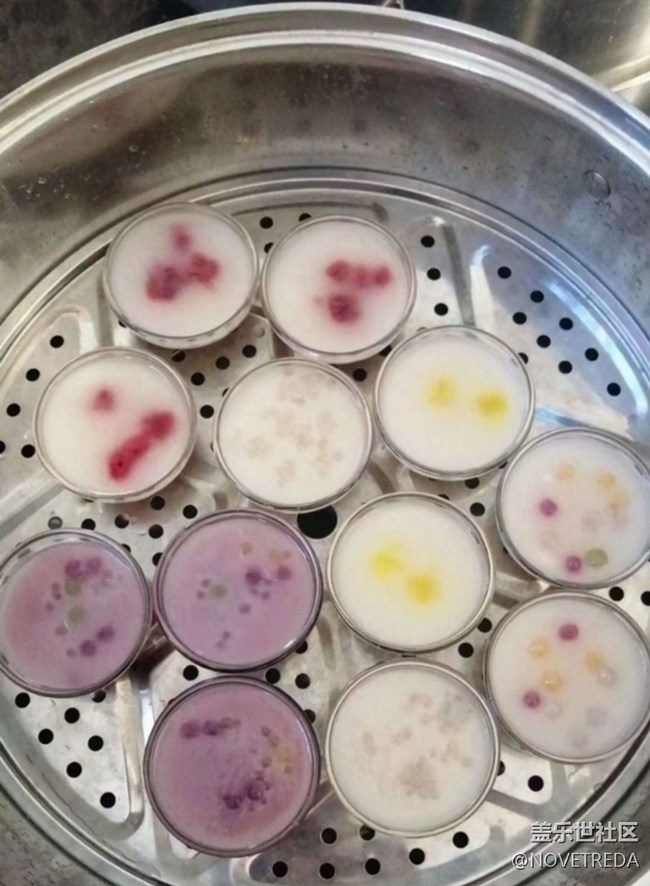 Screenshot_20250423_135240_Samsung Members.jpg