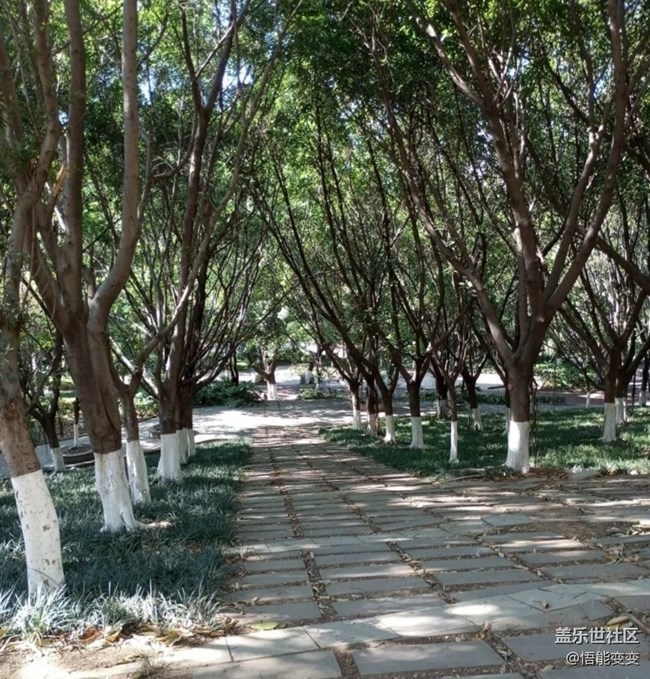 【春日盛景】春日公园