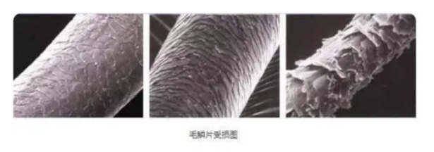 劣质吹风机的危害有哪些？警惕出油干燥四大陷阱风险