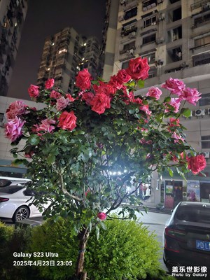 夜晚