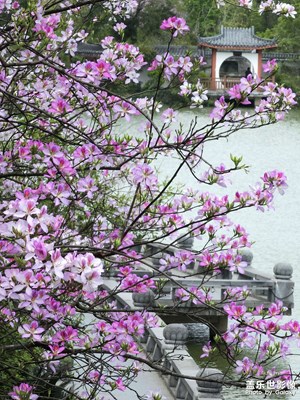 【市井长巷】山水施粉黛