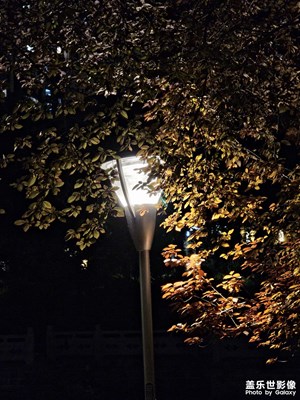 夜夜夜