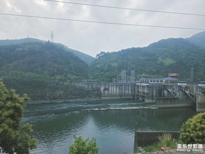 每日一拍