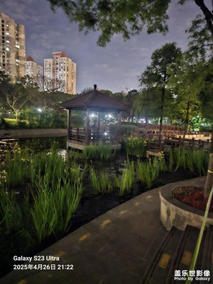 夜晚公园