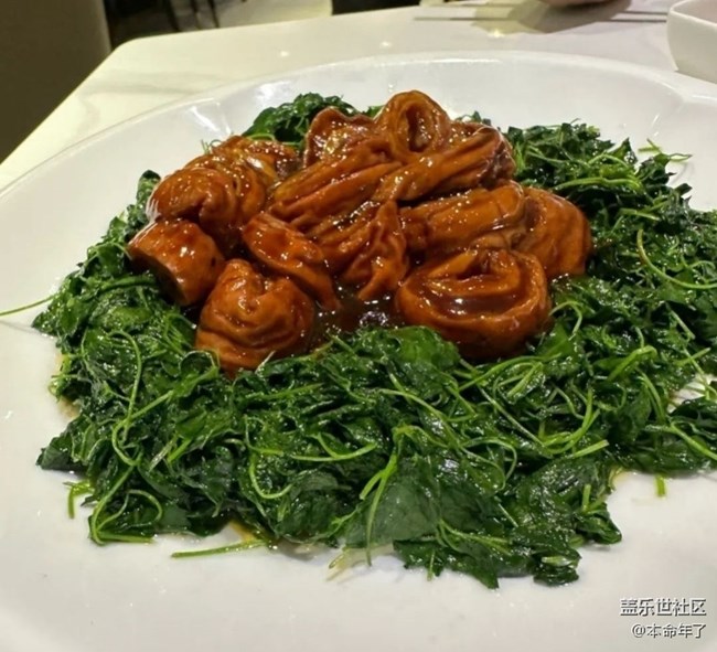 【春色可餐】相聚时刻