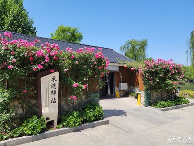 【市井长巷】+公园随拍