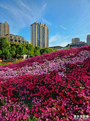 新天地