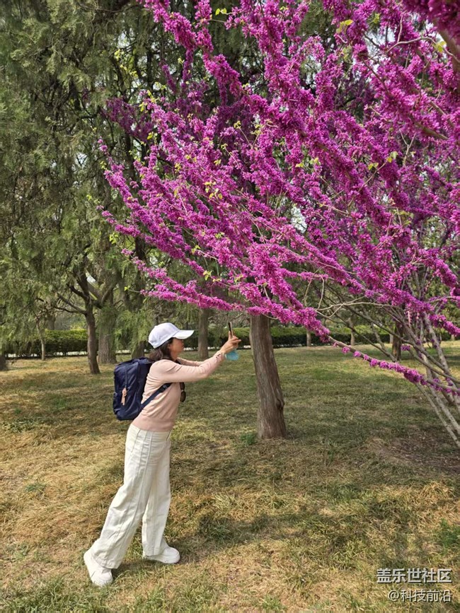 【拈花拾趣】美女与鲜花也可兼得