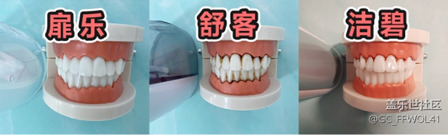 冲牙器妥不妥？如何挑？王牌机型PK测评