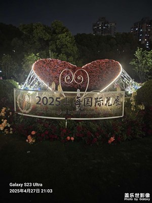 2025上海国际花展