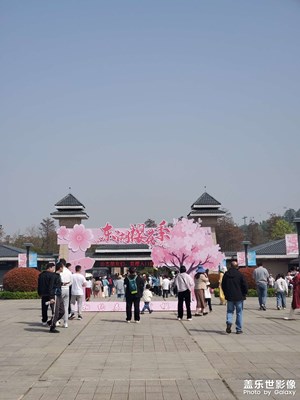 【市井长巷】+东湖樱花节